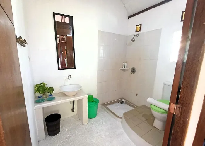 Hotel Pisces Selemadeg (Bali)